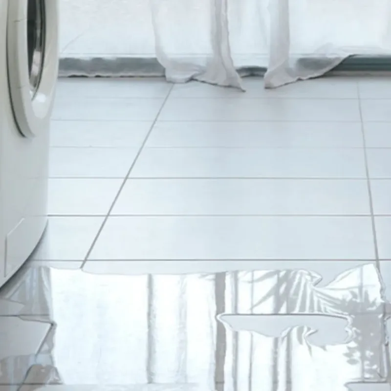 Appliance Leak Cleanup in Osceola County, FL