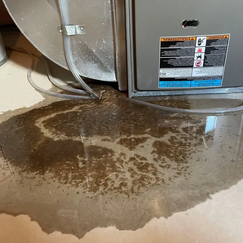 Pipe Burst and Leak Restoration in Osceola County, FL